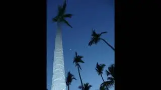 [FREE] RnB x Afrobeat Loop Kit  "Atoll" (Drake, Wizkid, Brent Faiyaz, Rema)