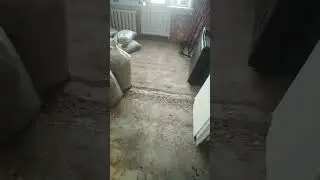 Ремонт с нуля своими руками. Замена деревянных полов на ламинат.