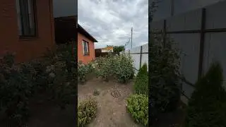 Классный дом с изумительным садом в Краснодаре
