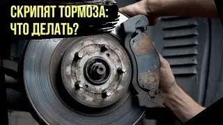 Скрипят тормоза - что делать? Причины скрипа при торможении