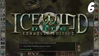 Icewind Dale: Enhanced Edition #6 - Vale of Shadows