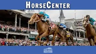 Preakness 2023 Top Contenders & Longshots on HorseCenter