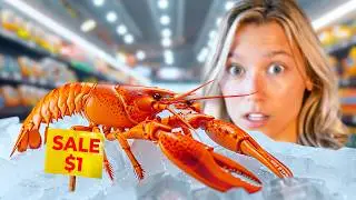 Raising a Grocery Store Lobster as a Pet