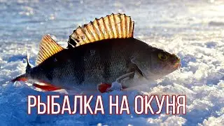 Рыбалка на Ладожском озере. Ловля окуня. Рыбалка не магазин.