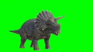 Green Screen Styracosaurus Dinosaur / WITHOUT COPYRIGHT FOOTAGE