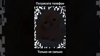 7 июля 2024 г.
