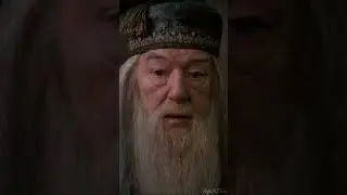 Meet Harry Potter Characters 😎 (Part 2)