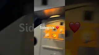 Airbus sidestick in this sim is 🔥