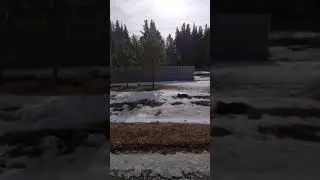 У нас уже почти нет снега🤗 Весна. Тепло. ☀🌷🌱