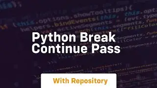 python break continue pass