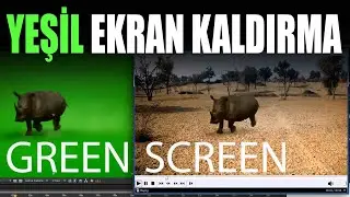 After Effects Green Screen (Yeşil Ekran) Kaldırma