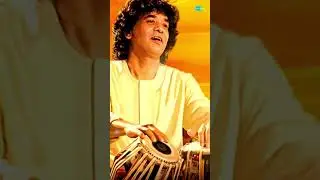 Drut Teentaal | Ustad Zakir Hussain #indianclassicalmusic #hindustaniclassicalmusic #shorts