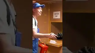 А4 ограбление картонного банка