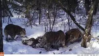 Семейный обед в национальном парке 