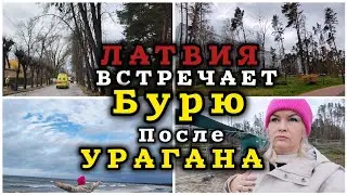 ЛАТВИЯ Встречает БУРЮ после Урагана Пришло письмо Закрывайте окна! #рекомендации #latvia #буря #вмир