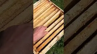 Расширение семьи
