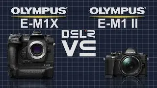 Olympus OM-D E-M1X vs Olympus OM-D E-M1 Mark II