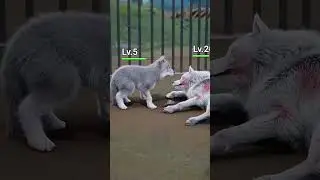 Он просто хотел накормить свою маму... 😢🐶