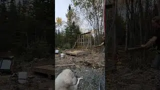 Chicken Coop Build - Walls #canadianhomesteaders #offgridliving