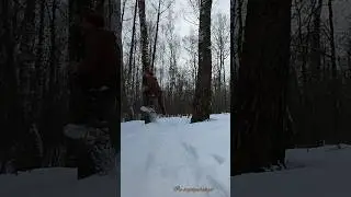 Неужели новые такие порталы открылись в зимнем лесу? 😄❄️🌳