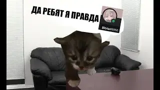 Полное разоблачение фейк Илитрии