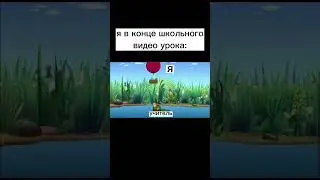 #мемы