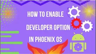 How to Enable Developer Option in Phoenix OS