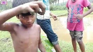 village boys catch fish গ্রামের ছেলেদের বড়শি দিয়ে মাছ ধরা