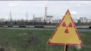 euronews science - Como vai a vida selvagem em Chernobyl?