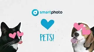 🐾 Pamper your four-legged friend with personalized gifts 🐶😻