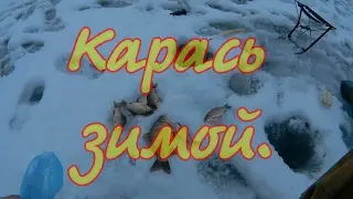 Клюют караси огромные. Ловля карася зимой. Зимняя рыбалка.