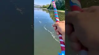 Подсечка за подсечкой #рыбалка #fishing #улов #подсечка #поклевка