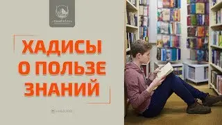 Время знаний: ученики и айфоны, студенты-медики, учителей не уважают ...