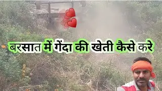 बरसात में गेंदा फूल की खेती कैसे करें | Genda Phool Ki Kheti Kab Aur Kaise Karen | Flower Farming