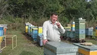 Сила семьи -  величина переменная.