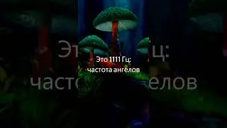 Духовный Рост, Звуки Исцеления, Материализация, Музыка для Медитации, 1111 Гц Частота Ангелов
