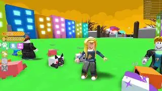 Роблокс симулятор животных  Pet simulator  Играю с братом в роблокс Roblox 6