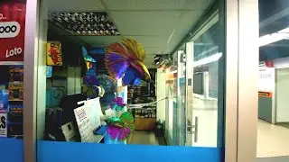 Fish in a subway store.