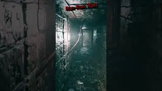 Run Run Run 