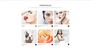 Photographer Portfolio Responsive Moto CMS 3 Template, #53239