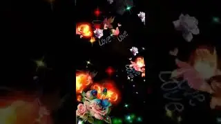 New Color light effect video background 2024 | #shortvideo #lighteffect | Black Screen light effects