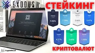 Стейкинг криптовалют в кошельке Exodus