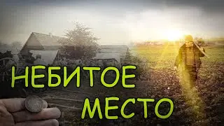 Мой Первый ПЯТАК Nokta Legend НАШЛИ НЕБИТОЕ МЕСТО просто мечта Коп 2023
