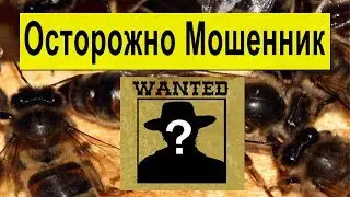 Осторожно Мошенник! Кинул людей на пчеломатки!