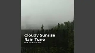 Undisturbed in Rainfall