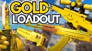 The BEST GOLD Inventory for CS2! (BUDGET GOLD Skins Loadout 2024)