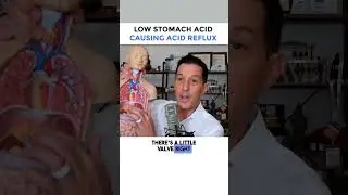 Low Stomach Acid Causing Acid Reflux