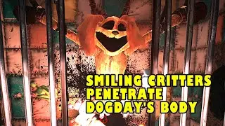 Poppy Playtime Chapter 3 The Smiling Critters invade DogDay's Body😧