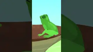 ¿Qué son los renacuajos? 🐸​