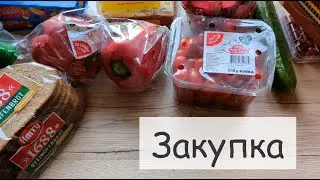 Закупка на неделю для семьи в Германии с ценами. Новые акции.
